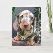 ***お***い**ます*** カード (正面)