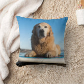 かい板に置いているゴールデン・リトリーバー犬 クッション (ブランケット)