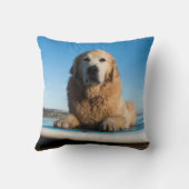 かい板に置いているゴールデン・リトリーバー犬 クッション (裏面)