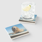 かい板に置いているゴールデン・リトリーバー犬 ストーンコースター (横)