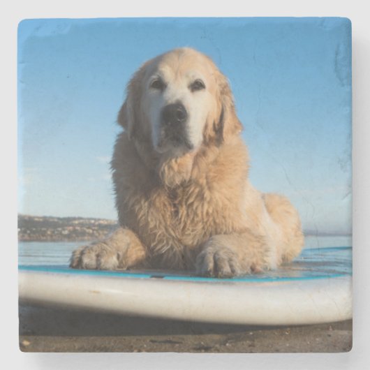 かい板に置いているゴールデン・リトリーバー犬 ストーンコースター (正面)