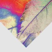 かえでの抽象芸術 薄葉紙 (詳細)