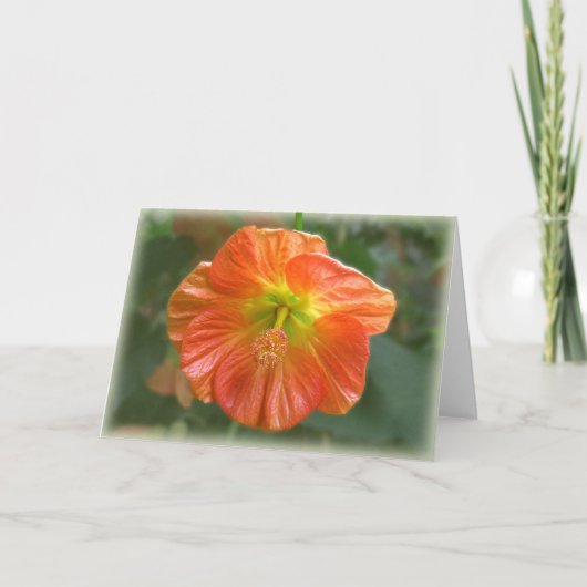 かえでの開花 カード (正面)