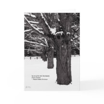 かえでライン: エマーソンの引用文