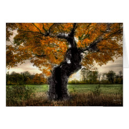 かえで巨人: カード