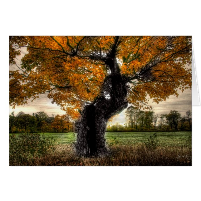 かえで巨人: カード (正面横)