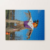 かかしミネソタ。 ジグソーパズル (横)