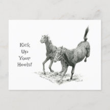 かかとのポストクロッシングポストカードをキック