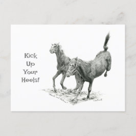 かかとのポストクロッシングポストカードをキック ポストカード