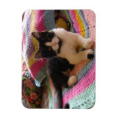 かぎ針付きラグかわいらしカードで可愛いタキシード猫 マグネット (縦)