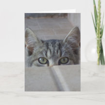かくれんぼする子猫の誕生日カード
