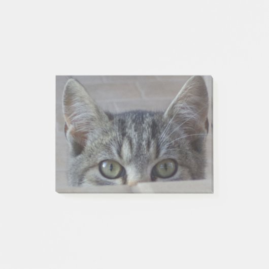 かくれんぼする子猫 ポストイット (正面)