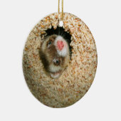 かくれんぼのPauleyのオーナメント セラミックオーナメント (右)