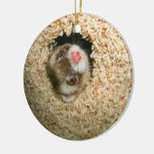 かくれんぼのPauleyのオーナメント セラミックオーナメント (左)