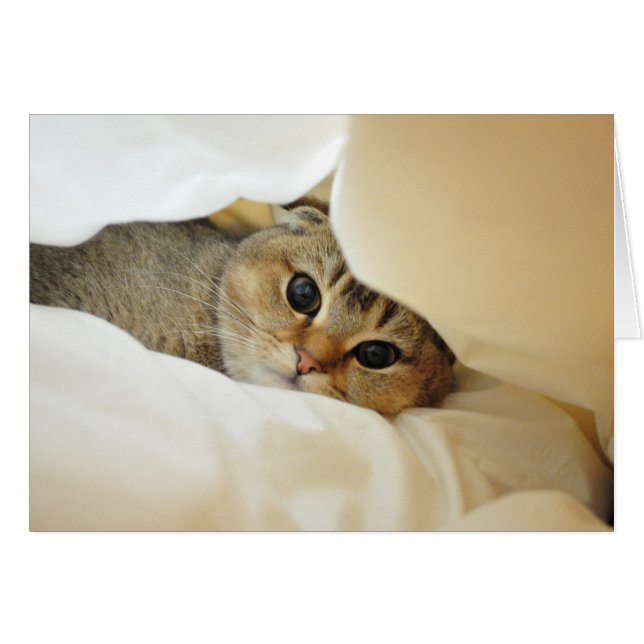 かくれんぼを遊ぶヌードル (正面横)