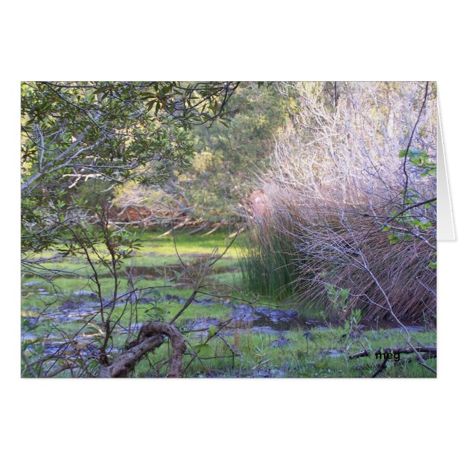 かくれんぼ (正面横)