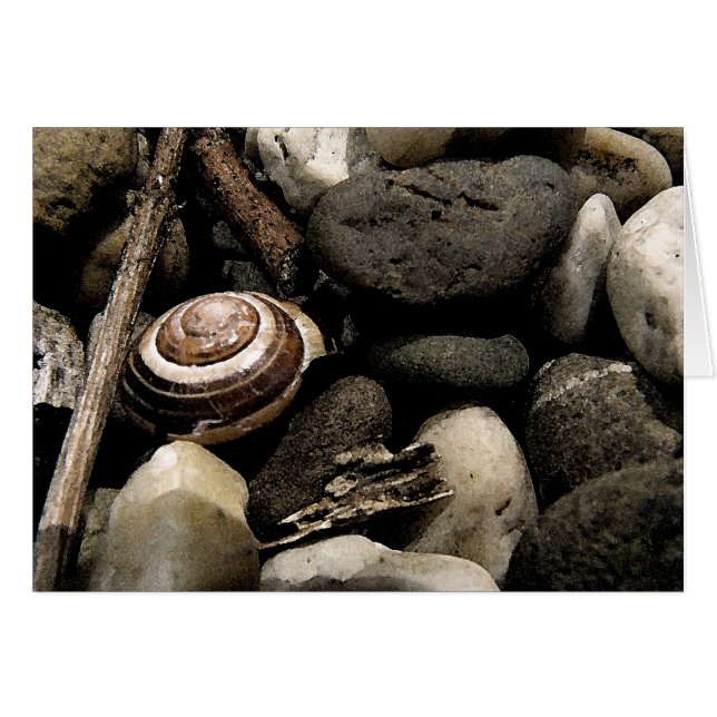 かくれんぼ (正面横)