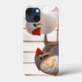 かごの中にかわいいフィンチ鳥2羽 Case-Mate iPhoneケース (裏面)