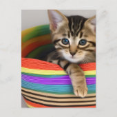 かごの中に可愛らしいカラフル子猫 ポストカード (正面)