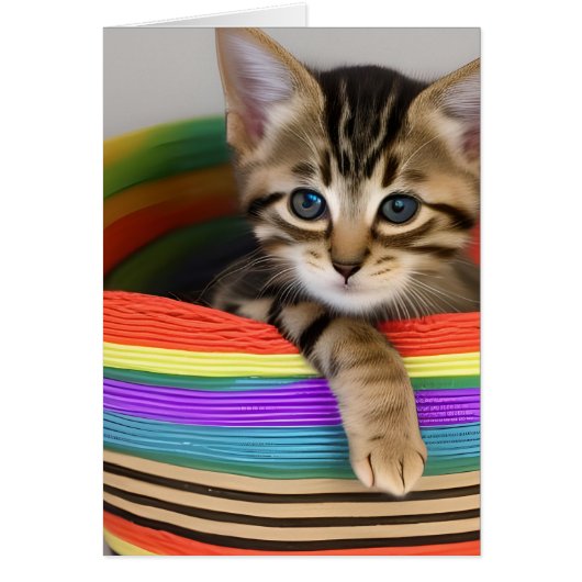 かごの中に可愛カラフルらしい空白の子猫 (正面)