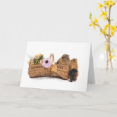 かごの中のモルモット カード (黄色い花)