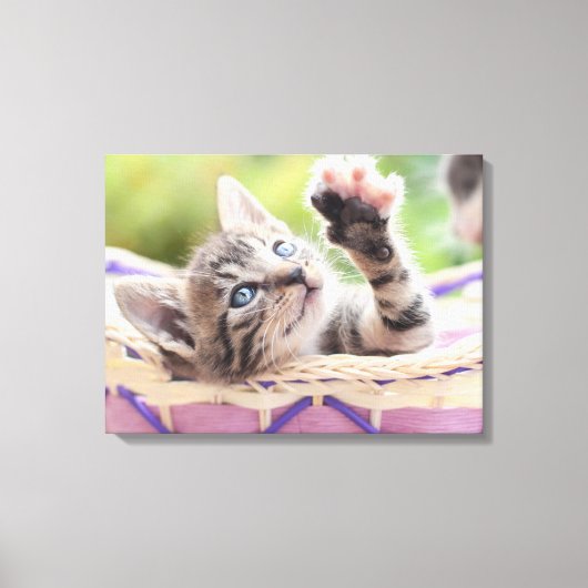 かごの中の子猫 キャンバスプリント (正面)