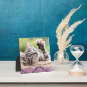 かごの中の子猫 フォトプラーク (インサイチュ)