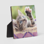 かごの中の子猫 フォトプラーク (正面)