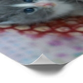 かごの中の子猫 ポスター (角)