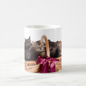 かごの子ネコ コーヒーマグカップ (中央)