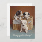 かごの子犬CC0686カールレイチェルト誕生日 ポストカード (正面/裏面)