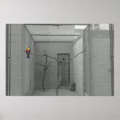 かごの鳥 ポスター (正面)