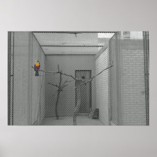 かごの鳥 ポスター