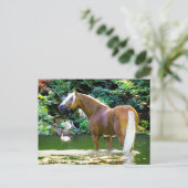 「かしこい人が逃げる」 ポストカード (スタンド正面)