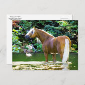 「かしこい人が逃げる」 ポストカード (正面/裏面)