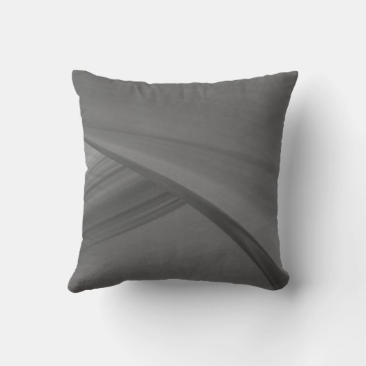 かすかな炭 クッション (裏面)