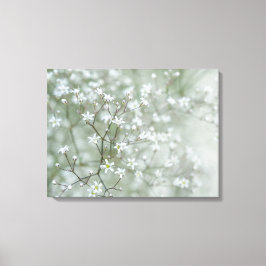 かすみ草の花 エアリーな自然の写真 キャンバスプリント
