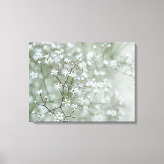 かすみ草の花 エアリーな自然の写真 キャンバスプリント (正面)