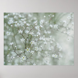 かすみ草の花 ドリーミーな自然写真 ポスター