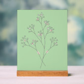 かすみ草の花 - 細い線の芸術 アクリルサイン (ニュートラル)