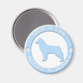 かすんだ磁石を採用する マグネット (正面/裏面)