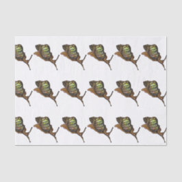 かたつむりのティッシュペーパー 薄葉紙