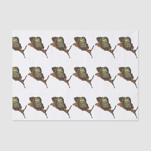 かたつむりのティッシュペーパー 薄葉紙 (正面)