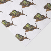 かたつむりのティッシュペーパー 薄葉紙 (詳細)