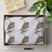 かたつむりのティッシュペーパー 薄葉紙 (ギフト)