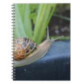 かたつむりのノート ノートブック (正面)