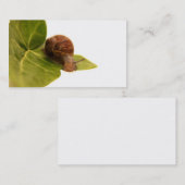 かたつむりの名刺 名刺 (正面/裏面)