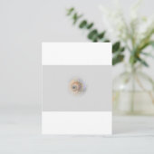 かたつむりのSchnecke Muschelの貝 ポストカード (スタンド正面)