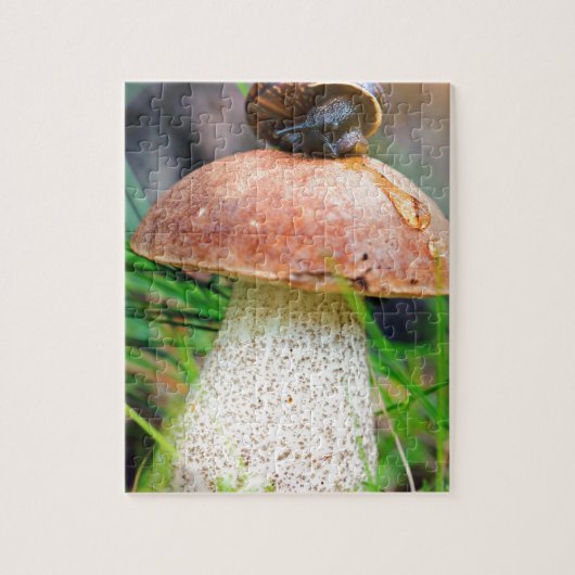 かたつむりを持つ草のLeccinum ジグソーパズル (縦)