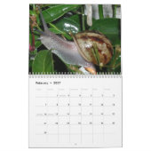 かたつむり カレンダー (2月 2027)